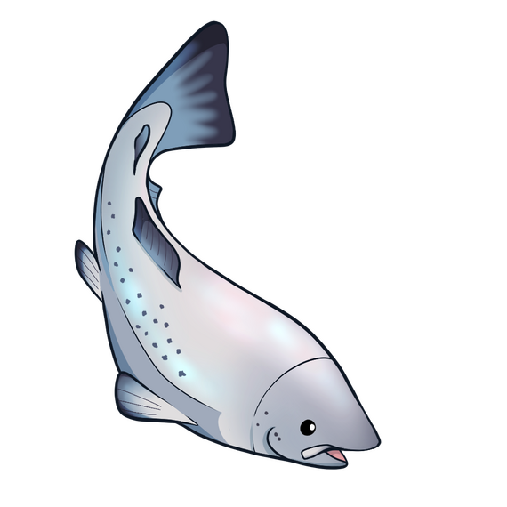 Salmon asset