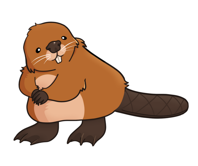 Beaver asset
